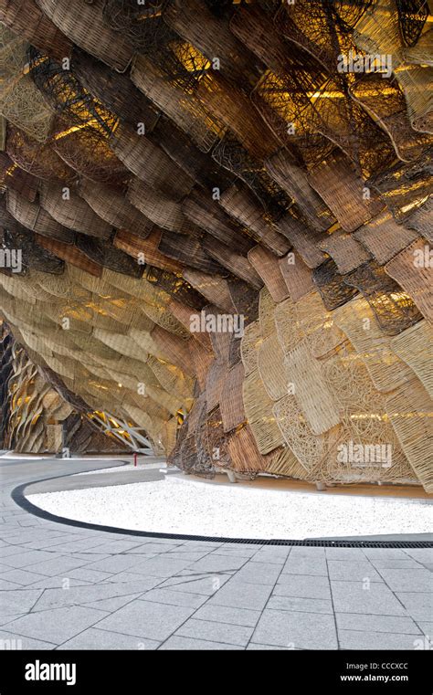 Polygon kles&aacute; o 8,69 % a přeprodan&eacute; podm&iacute;nky omezuj&iacute; potenci&aacute;l odrazu pobl&iacute;ž podpory na 0,0803 $: t&yacute;denn&iacute; zpr&aacute;va